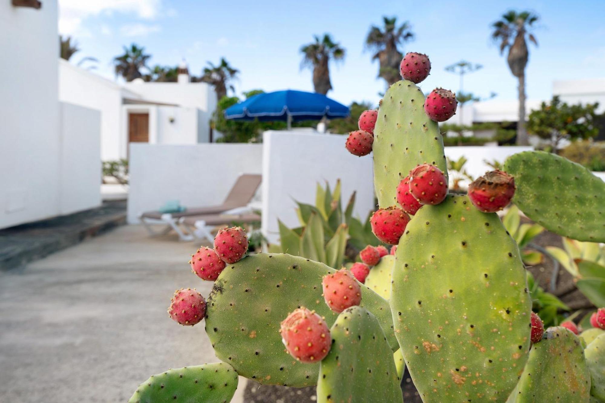 Casa Aloe Vila Haría Exterior foto